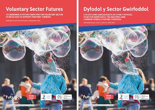 Bilingual report covers showing a child in blue jacket creating large soap bubbles, titled "Voluntary Sector Futures"