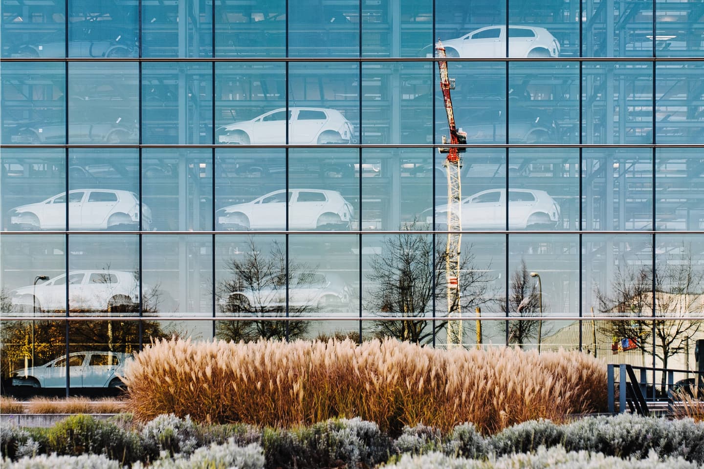 Glass-fronted car showroom with white vehicles visible through multiple floors, ornamental grasses in foreground, and a crane visible.